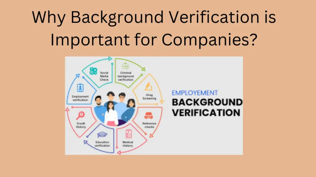 Why Background Verification is Important for Companies?