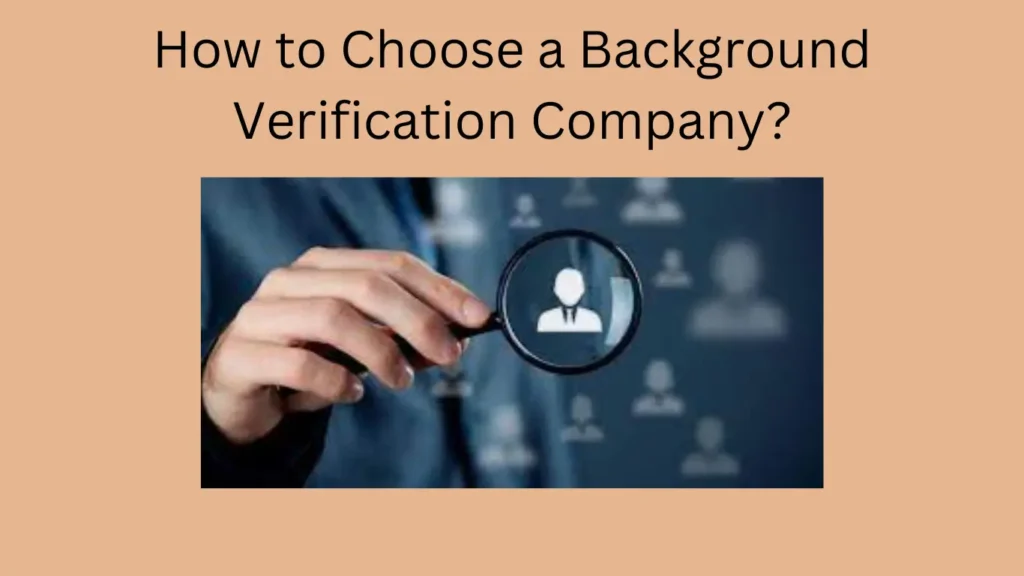 How to Choose a Background Verification Company?