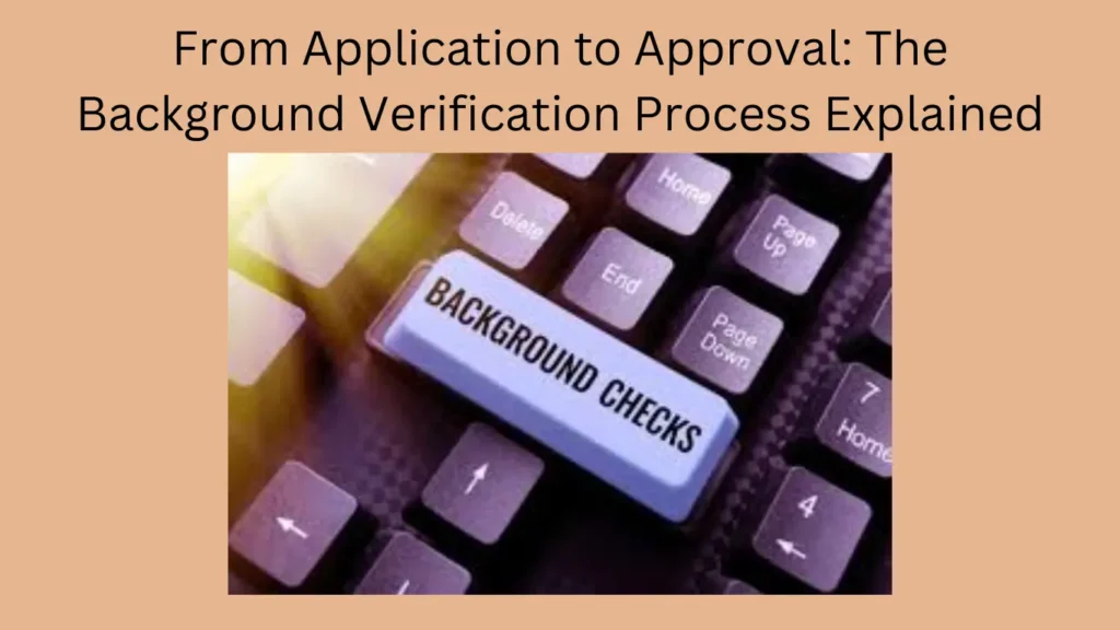 From Application to Approval: The Background Verification Process Explained